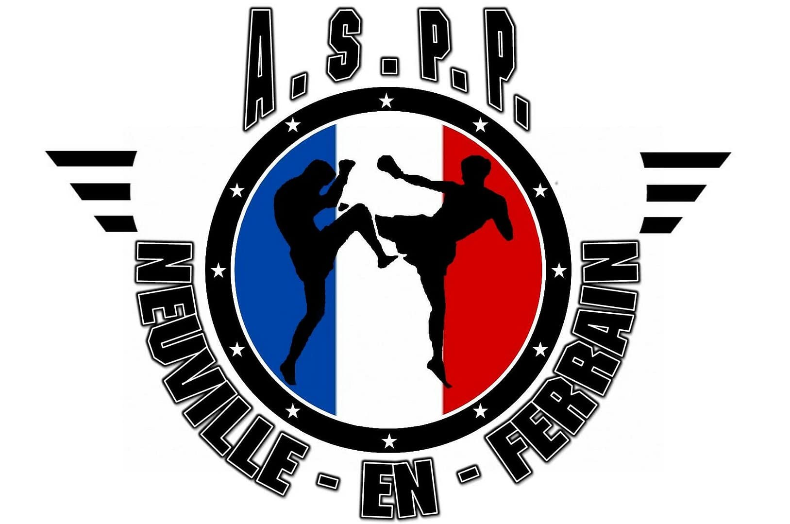 ACADÉMIE DES SPORTS PIEDS POINGS